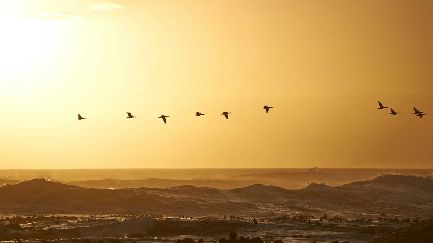 Migrating to a warmer climate